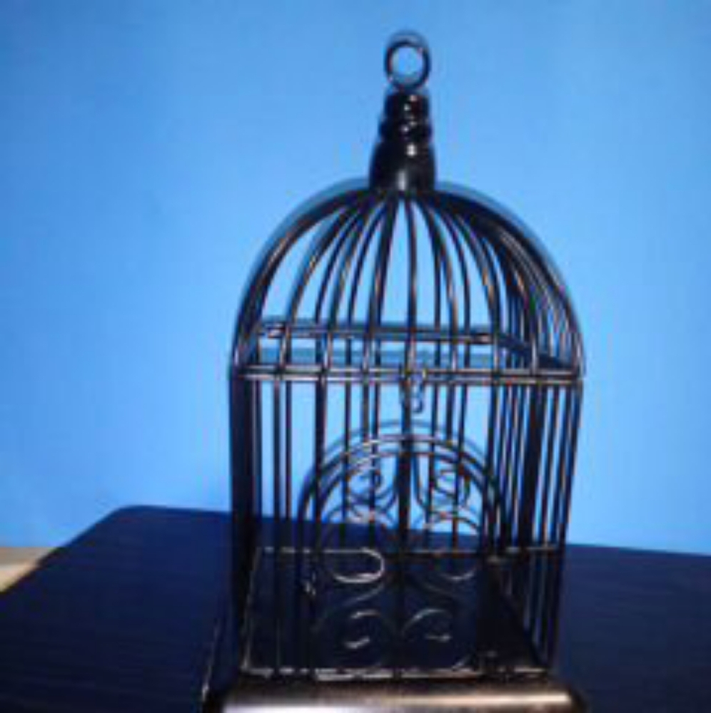 Candle bird cage